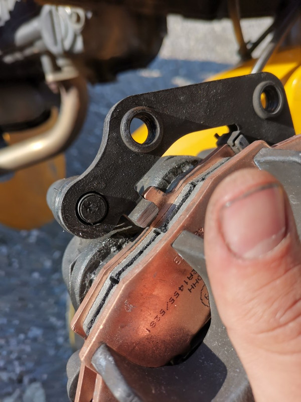 IMG_20210502_184121 (Moyen)