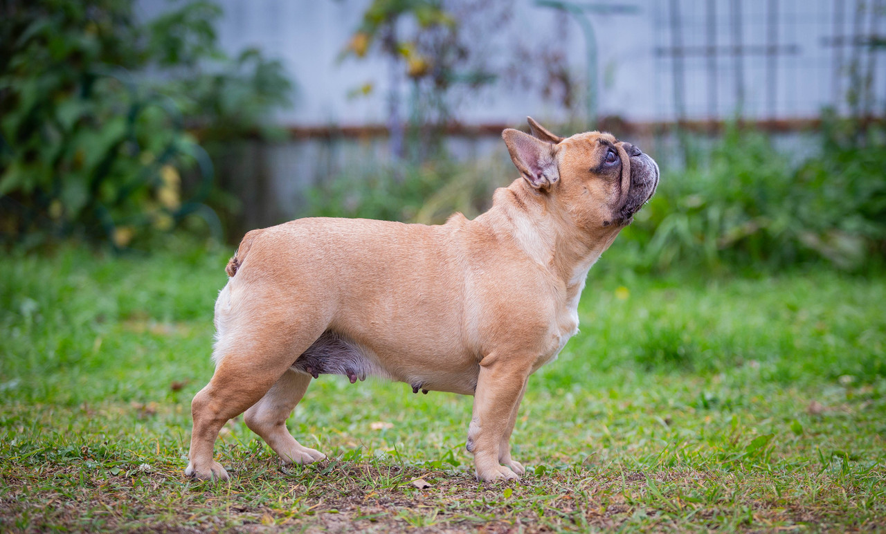 ,,,,,,,,,, (1 из 1)