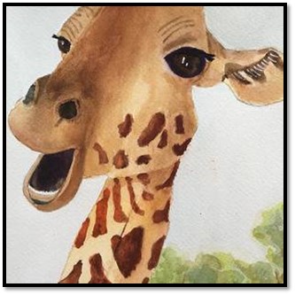 Giraffe_from_Sue1