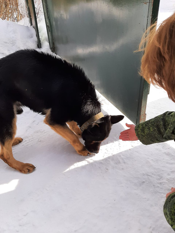 WhatsApp Image 2021-03-18 at 12.23.54(1)