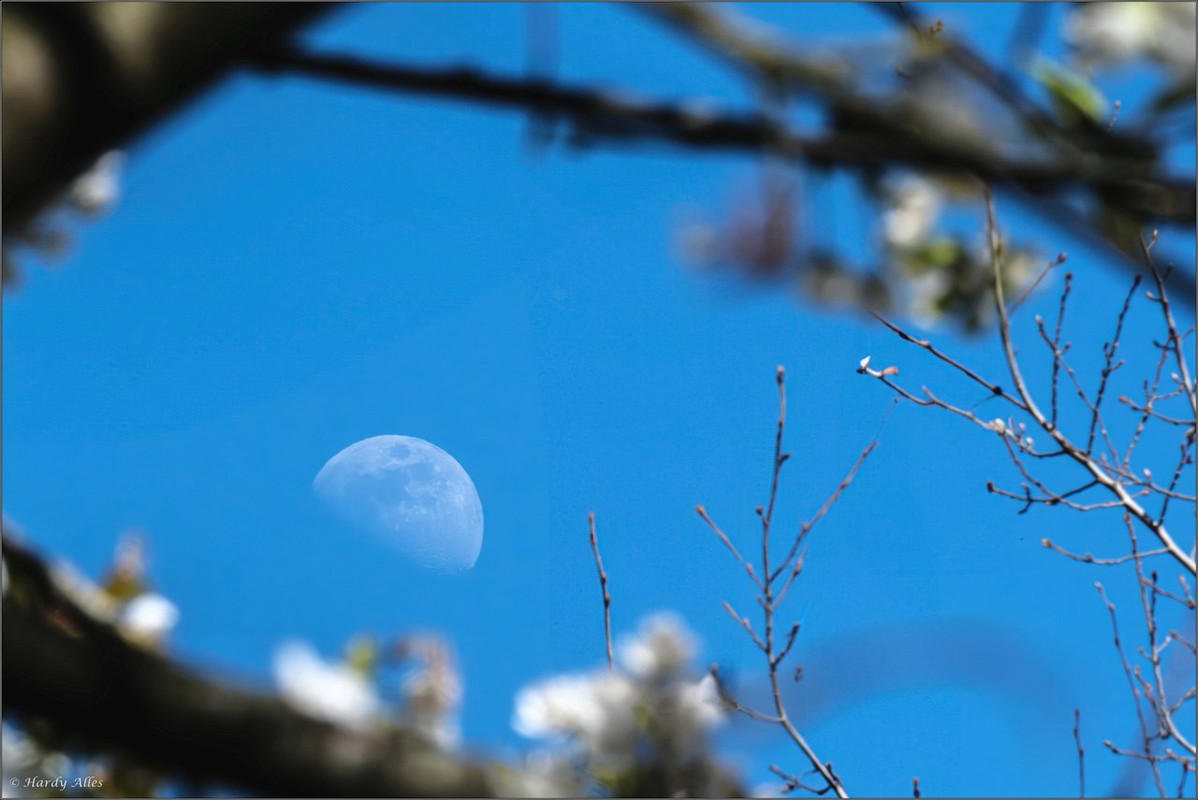 XT5A7688-Verbessert-RR  2025 SB Staden LR ERWZ FB