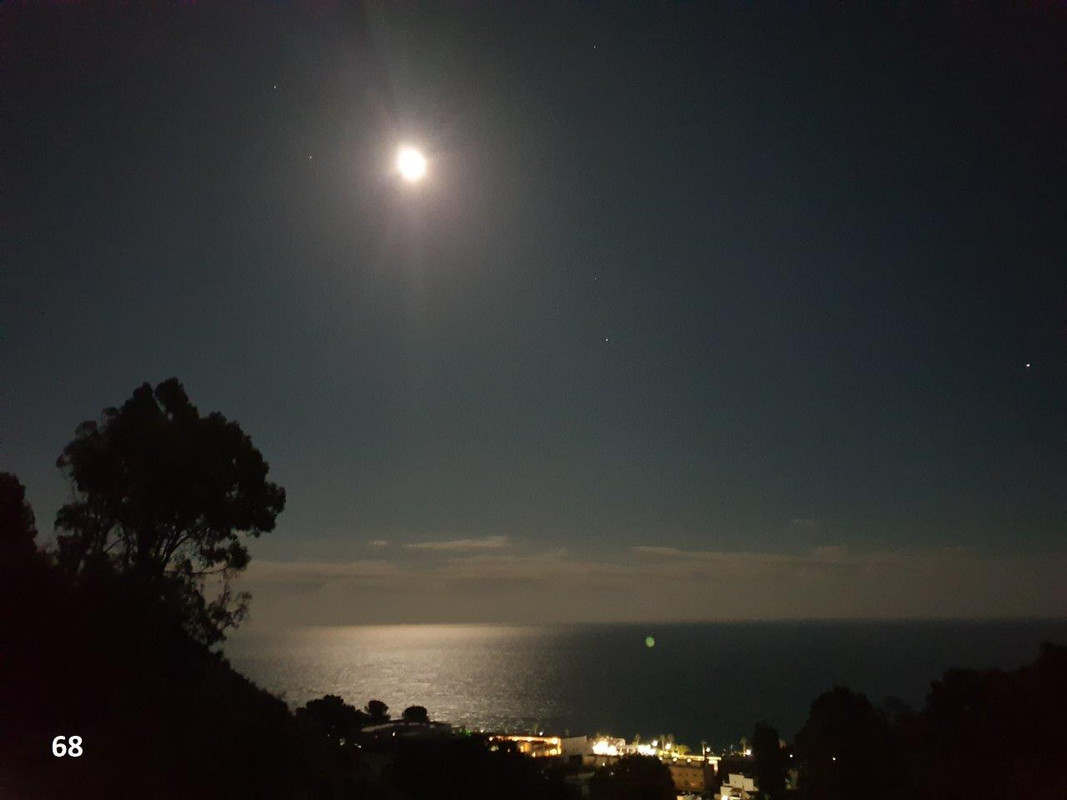 68 Sally Simpson Full moon