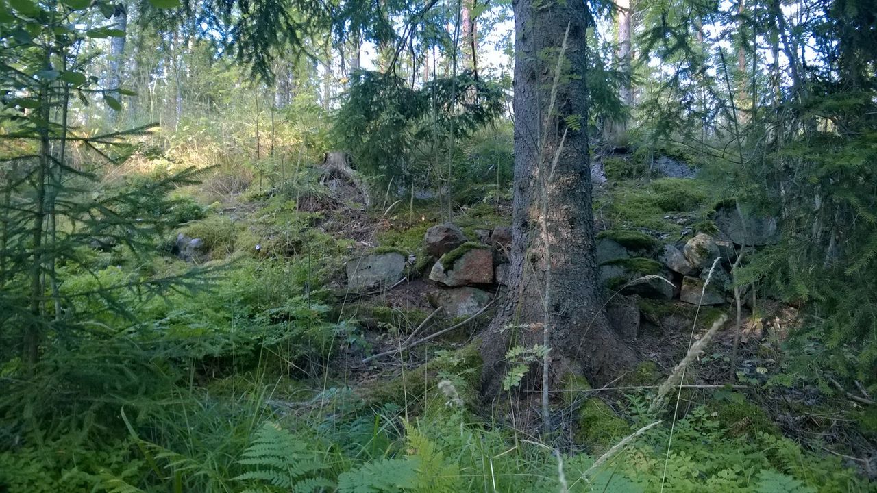 IMG-20150824-WA0008