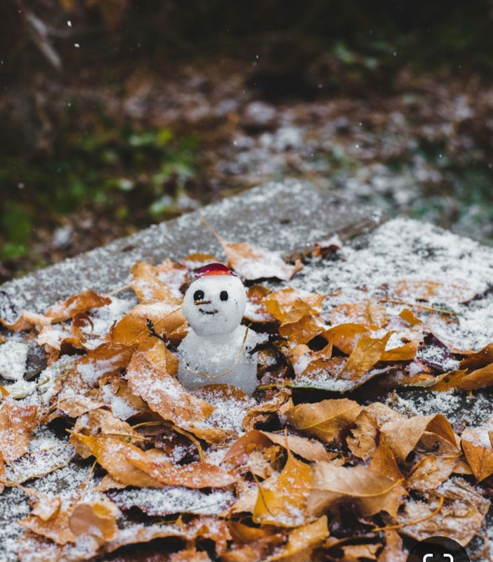 Screenshot_20231211_205719_Pinterest