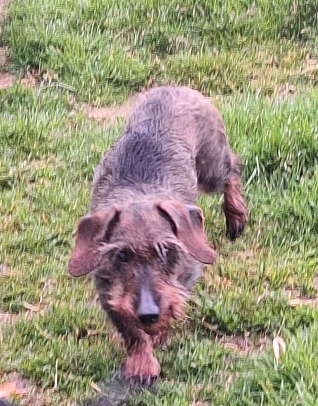 [Image: 20240426-195000.jpg]