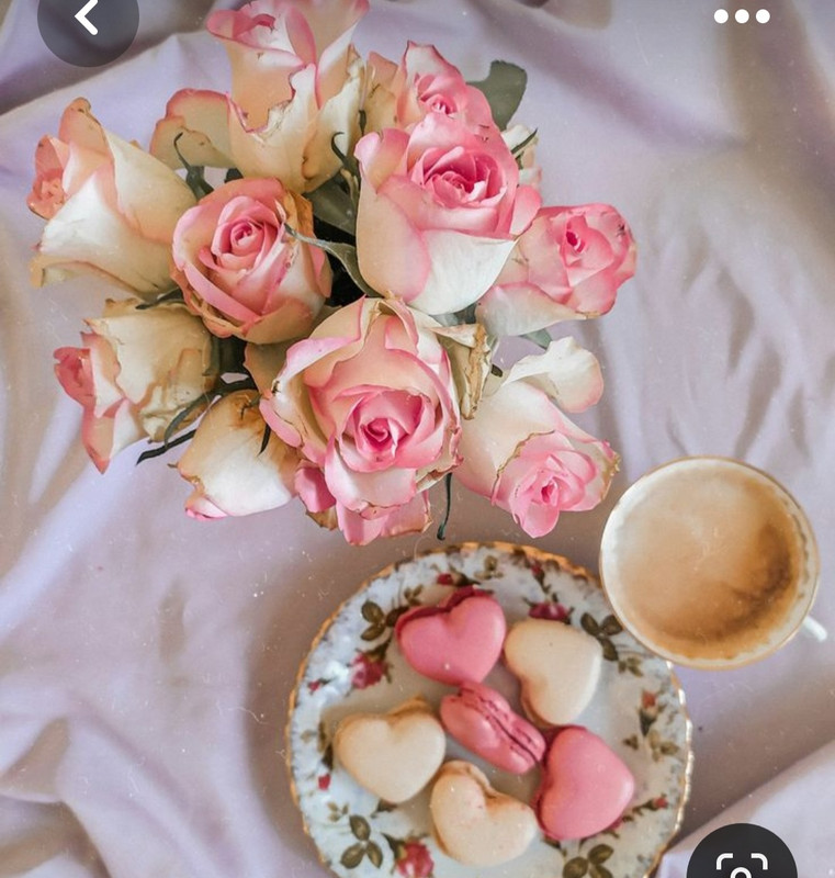 Screenshot_20230722_005239_Pinterest