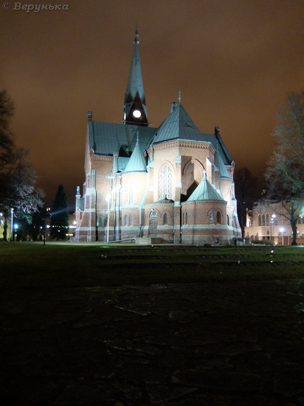 DSCF7029