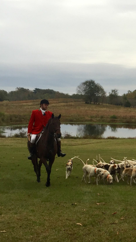 0A3022D1-F586-49DE-A550-E822D5BA80B0