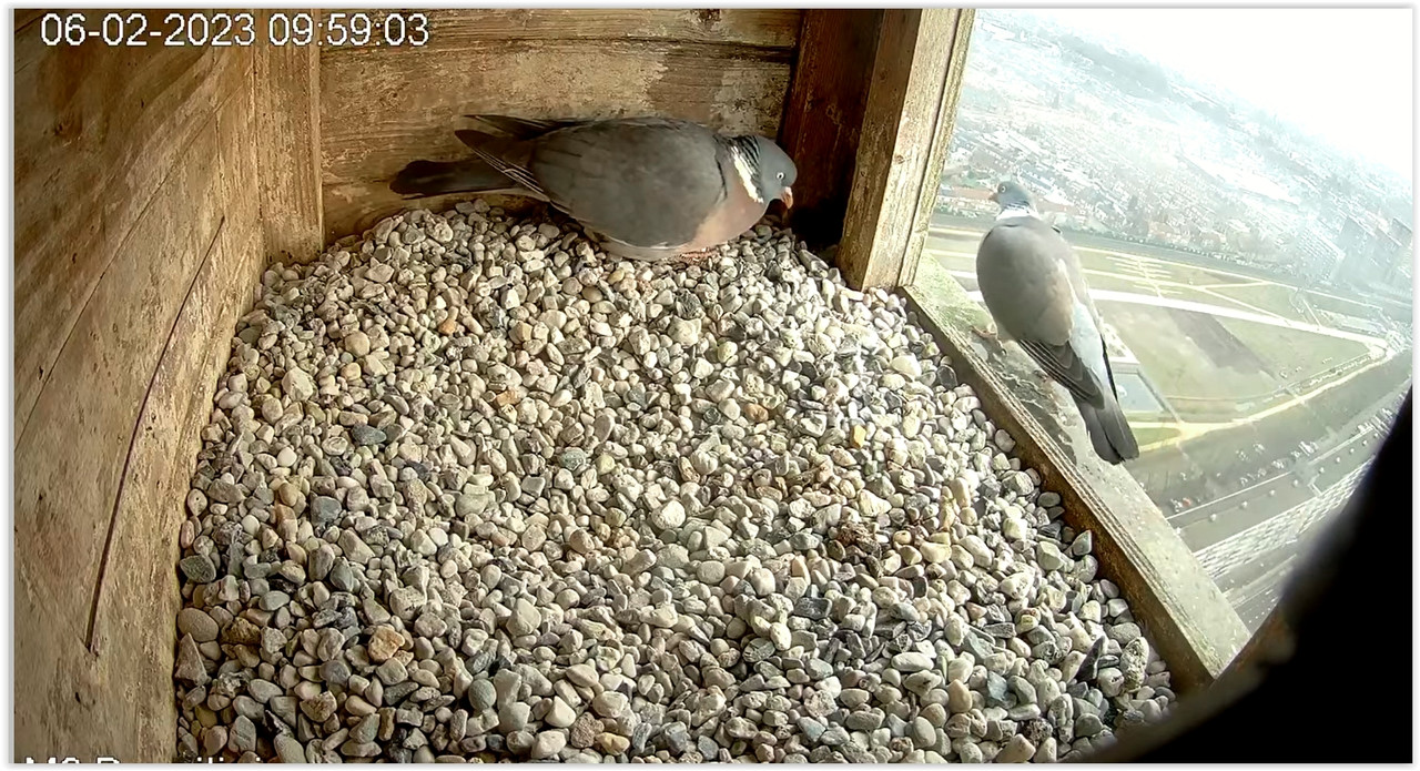 Screen Shot 02-06-23 at 09.59 AM