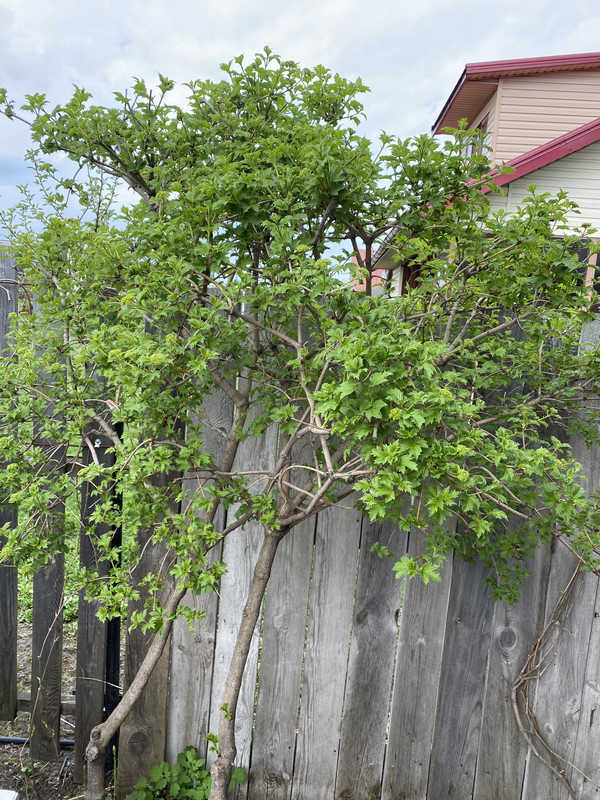 E84A7C7C-4D7D-4A85-B771-7DF83B4A3A39