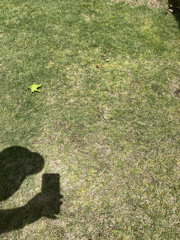 C2EAA459-C353-449A-9840-767EF392741D