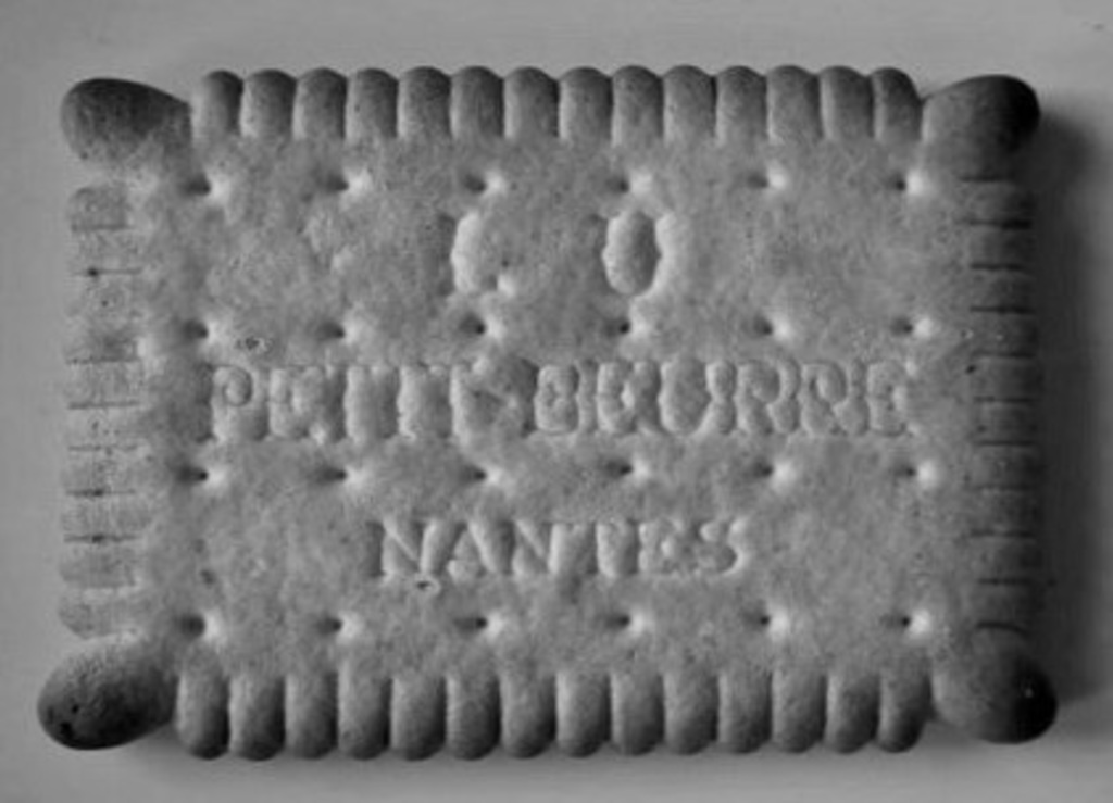 biscuit