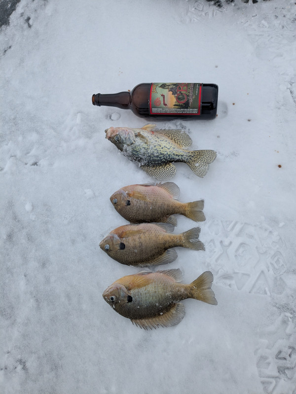 PXL 20251213 181153110