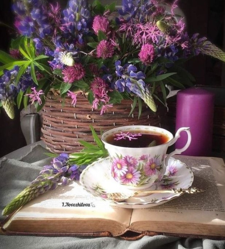 Screenshot_20230124_002429_Chrome