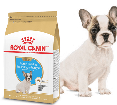 Elevate Your French Bulldog Puppy’s Care with the Possible FREE Royal Canin Chatterbox Kit Elevate Your French Bulldog Puppy’s Care with the Possible FREE Royal Canin Chatterbox Kit