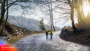 Firefly-magical-road-with-curves-representing-a-personal-journey-with-wet-ground-made-of-cobbleston