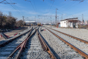 IMG-1446