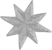 Christmasswishoffairydnstars