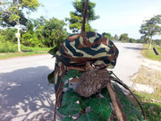 Kamunting-(8)