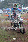 IMG-0175