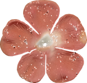 Blossom-Elements-39