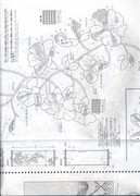B-0005