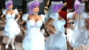 Ayane-DOA6-Happy-Wedding.jpg