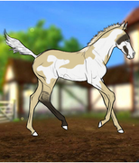 FF6693D0-40BD-4D05-91D8-DD756315EC85