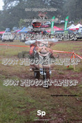 IMG-0185