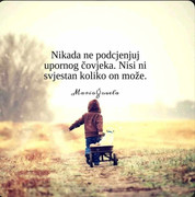 received-1321286182249869