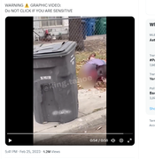 Screenshot Capture - 2023-09-16 - 02-48-33