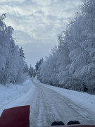 [Immagine: IMG_7483.jpg]