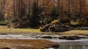 PA293098-2