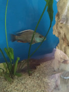 received_2011780488840323