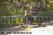 IMG-0240