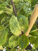 3D66914A-26EE-44A8-ADED-0BD22A906080