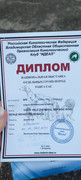 https://i.postimg.cc/FYfZgpBC/IMG-20241124-142748.jpg