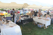 IMG-9262.jpg