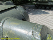 IMG-5785
