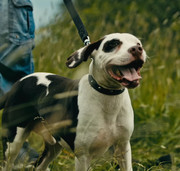 Screenshot_20230621_025819_Gallery