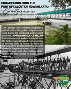 Archival image of indentured labourers