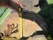 IMG-1597