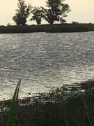 7B448D65-1306-44B5-8A26-29F2821C3E78