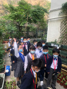 photo-littlefarmer2122-016