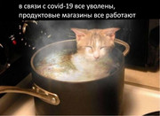 Screevkgonpsvknyueyupyknrnshot-2