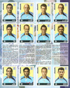 Album-Calciatori-2006-2007-Panini-091