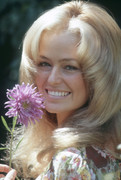 Farrah-Fawcett-mb95