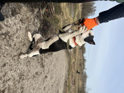 IMG_20230415_233138_081