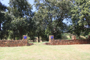 IMG-1426