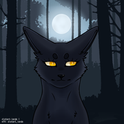 export202409211038504729